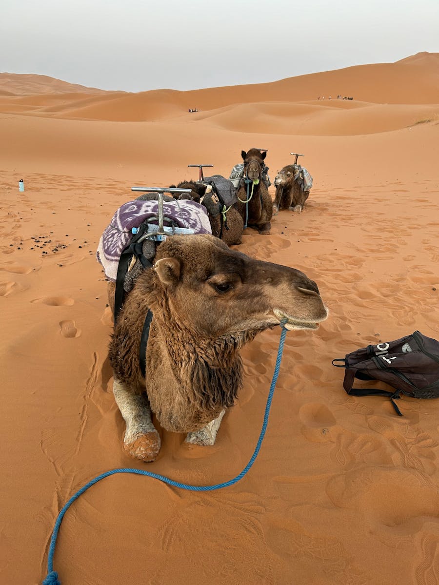 3 días desde Errachidia al desierto de Merzouga